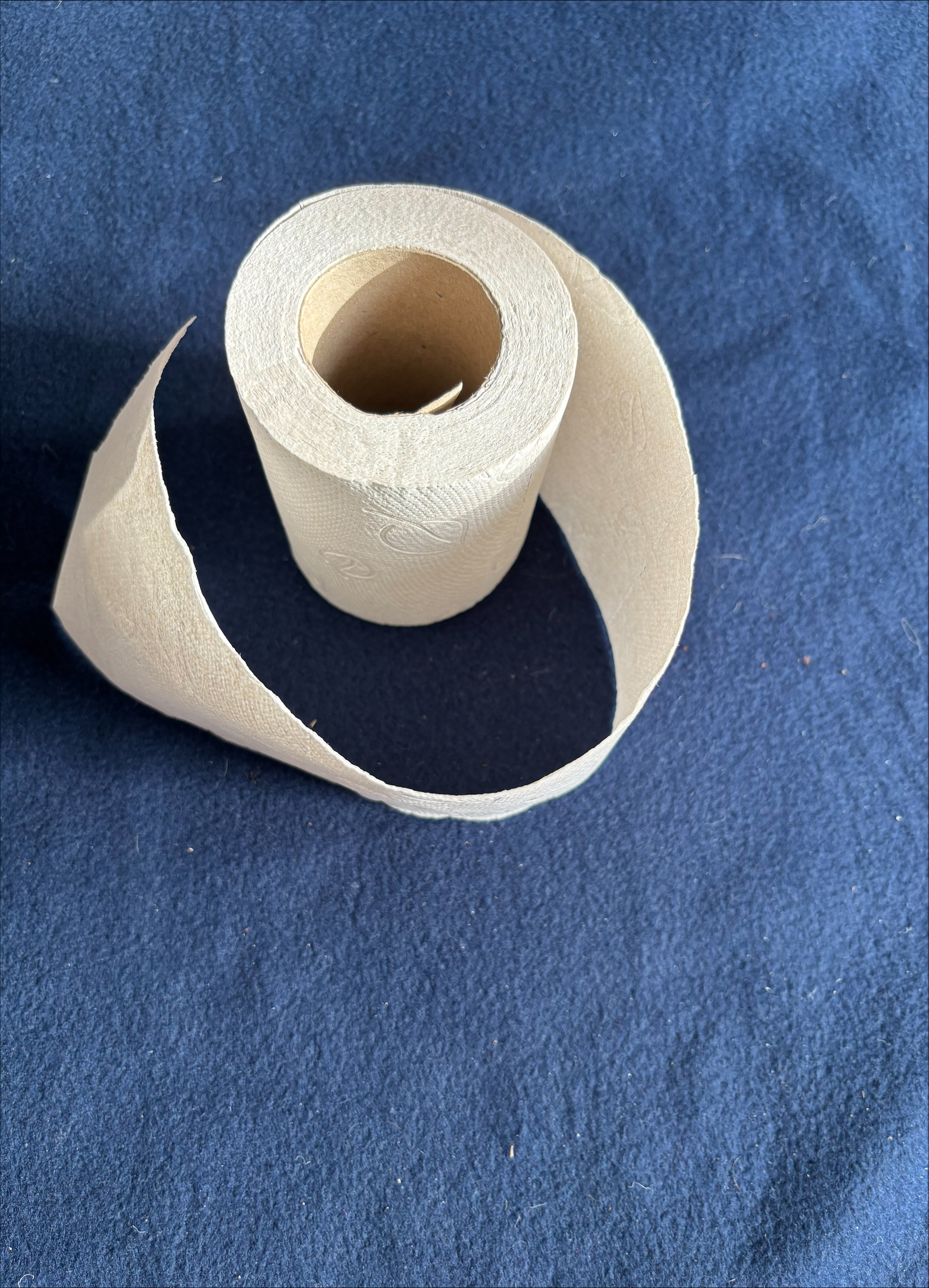 Rolle der Schulleitung